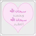 ������ ������� noor-elshams